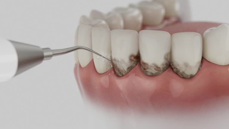 Reliable Dental contractor in Franklinville, NC by Dentist Open Now
